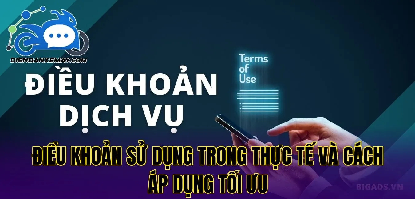 Điều khoản sử dụng trong thực tế và cách áp dụng tối ưu