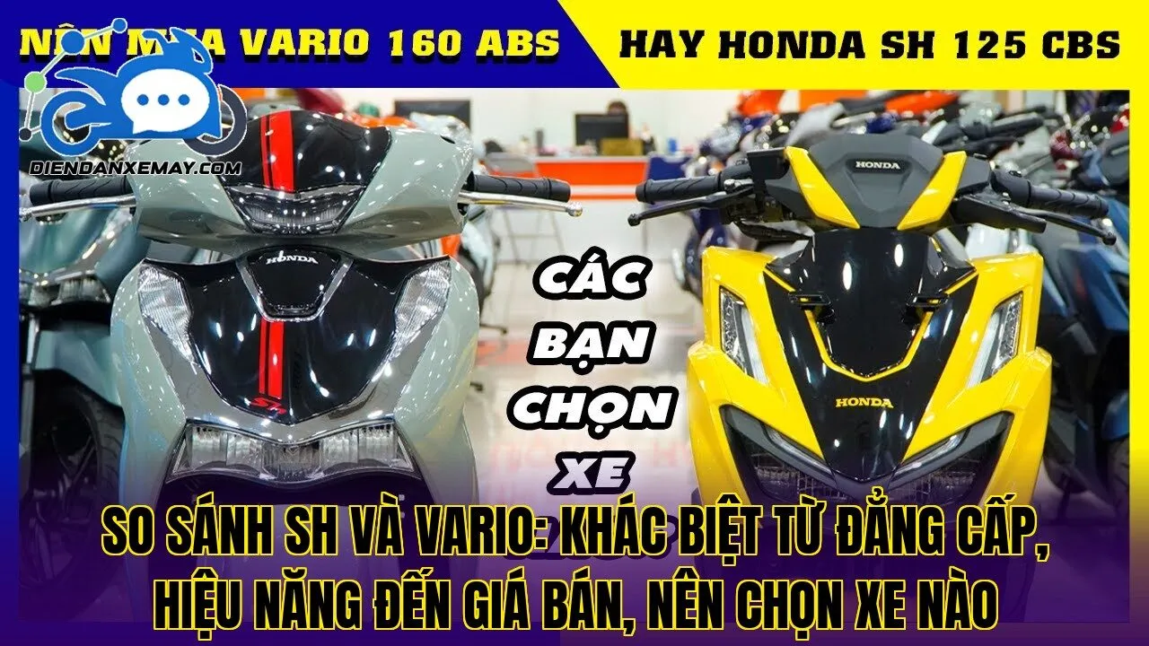 So Sánh SH Và Vario Khác Biệt Từ Đẳng Cấp Đến Giá Bán