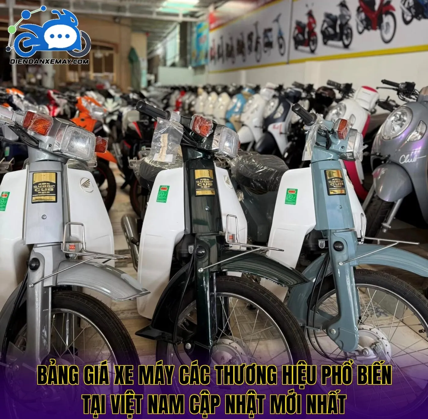 Bảng giá xe máy các thương hiệu phổ biến tại Việt Nam cập nhật mới nhất